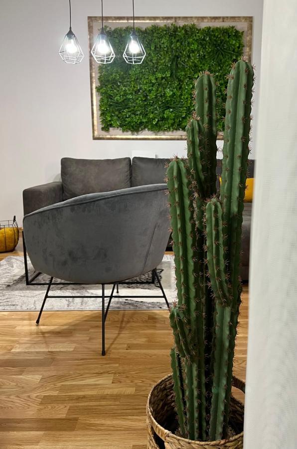 Čačak Jungle Lux Apartment المظهر الخارجي الصورة